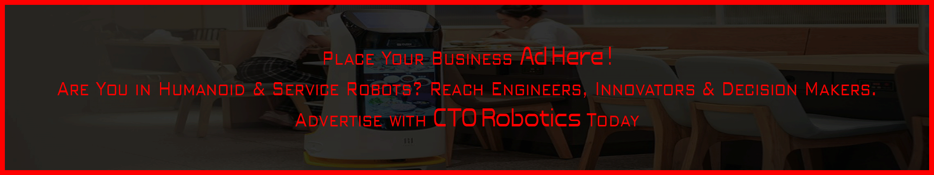 Humanoid & Service Robots