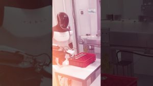 Tesla’s Optimus humanoid robot greets runners, poses for photos at Boston Marathon